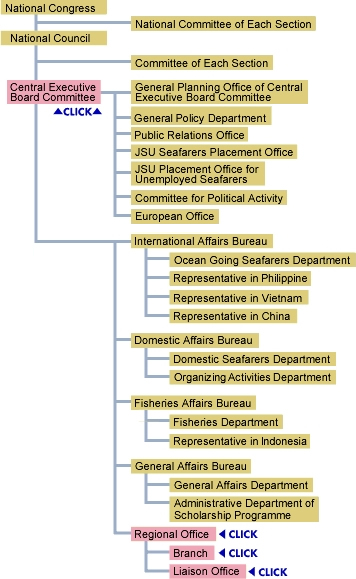 Organization Structure